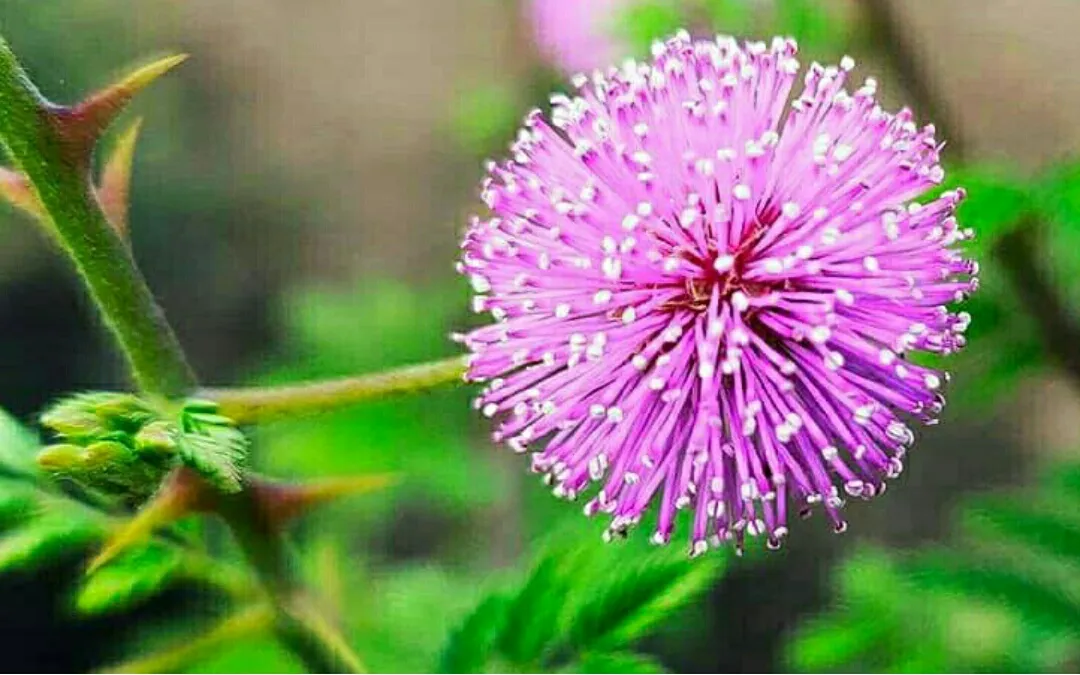 Screenshot_2020-03-29-19-57-22-044_com.miui.gallery.png