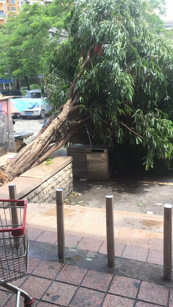 微信图片_20180917114115.jpg
