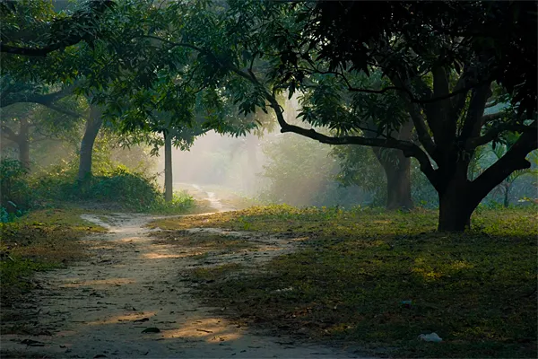 winter-morning-khamarpara-village-rural-west-bengal.jpg