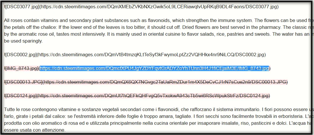 screenshot-scribe.steemian.info-2019-02-21-08-47-26.png