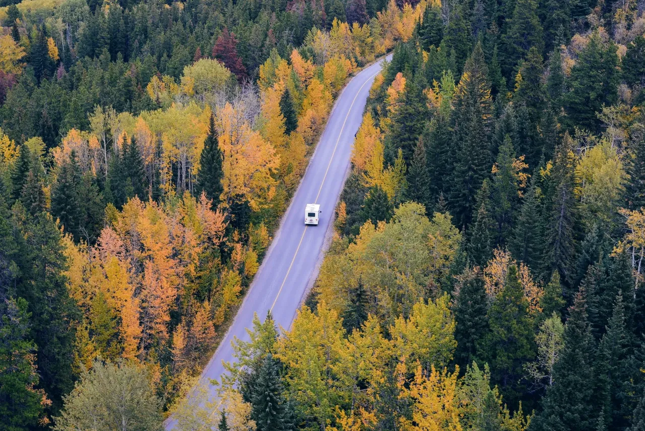 white-car-traveling-near-trees-during-daytime-24698.jpg