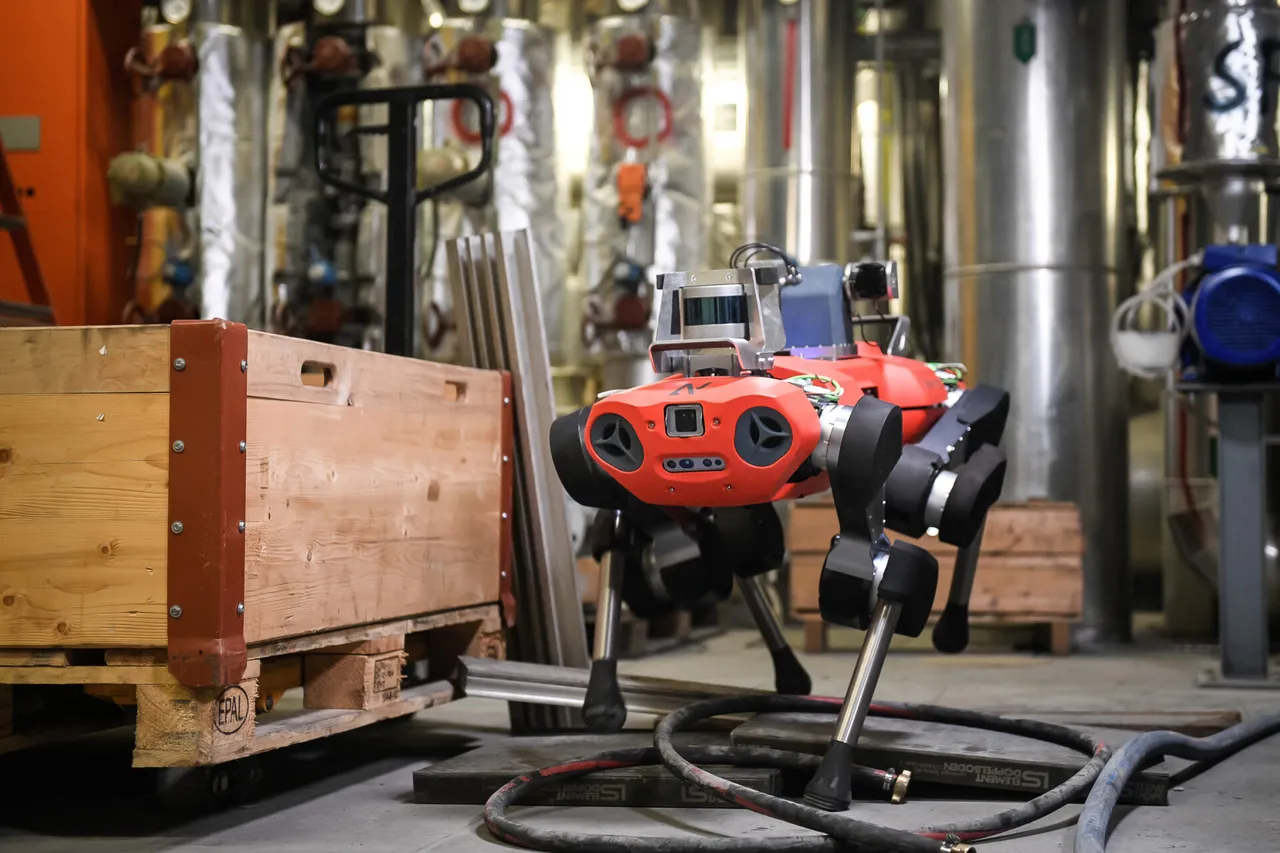 anymal-c-legged-robot-ml-obstacle-1920x1280.jpg