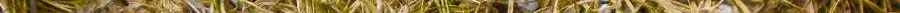 lagre_damascus_knife_with_walnut_by_hellize-d4swhwb 2.jpg