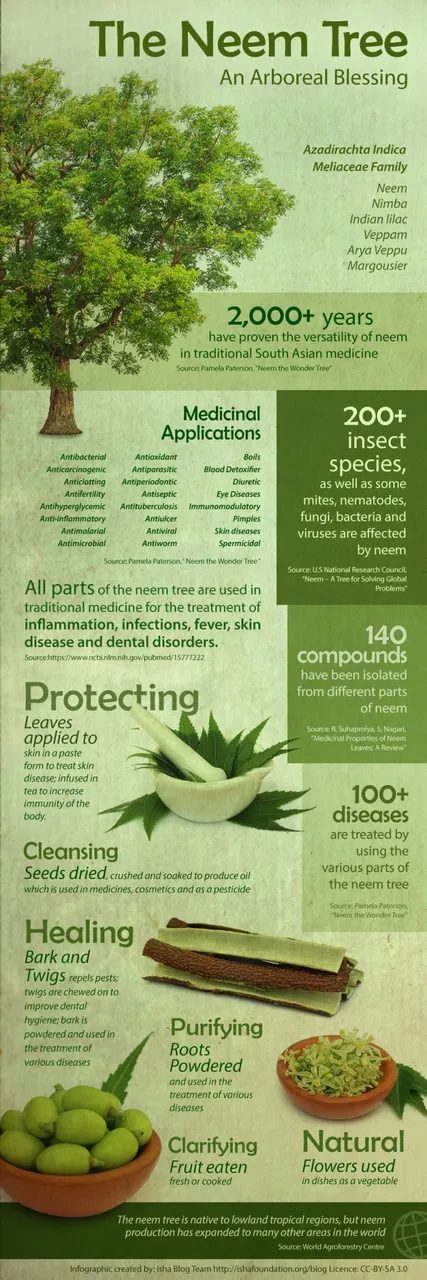 benefits-uses-of-neem-the-wonder-leaf-Neem-Infographicj.jpg