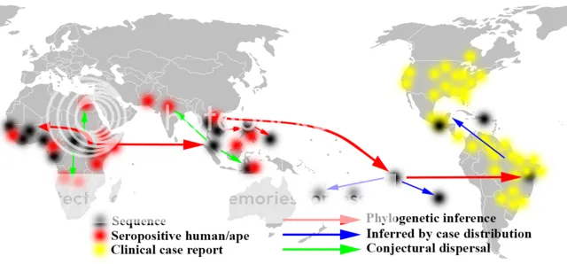 zika map