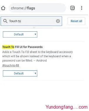 Touch-to-Fill-UI-for-Password-flag