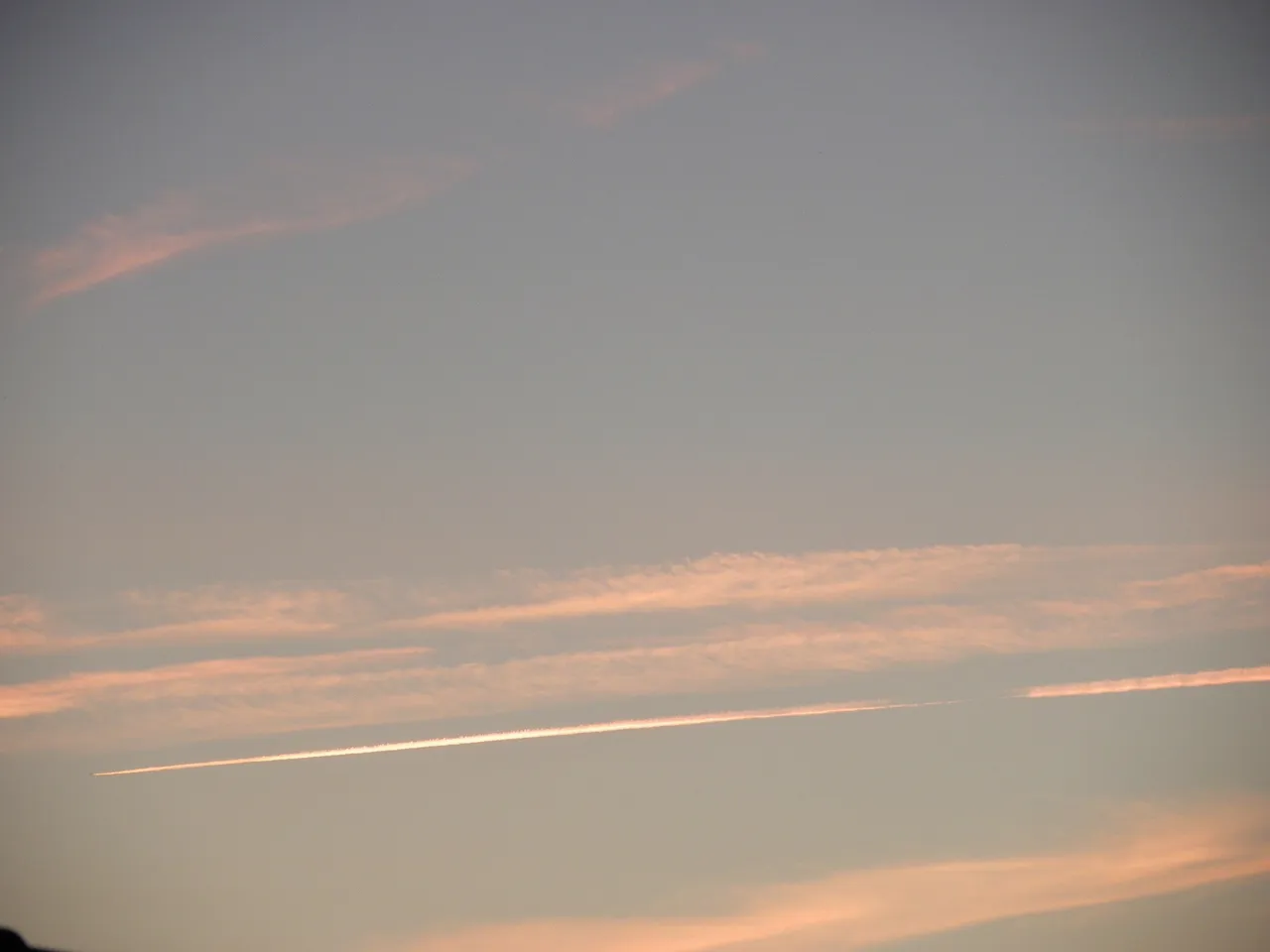 IMGP1426_1.JPG