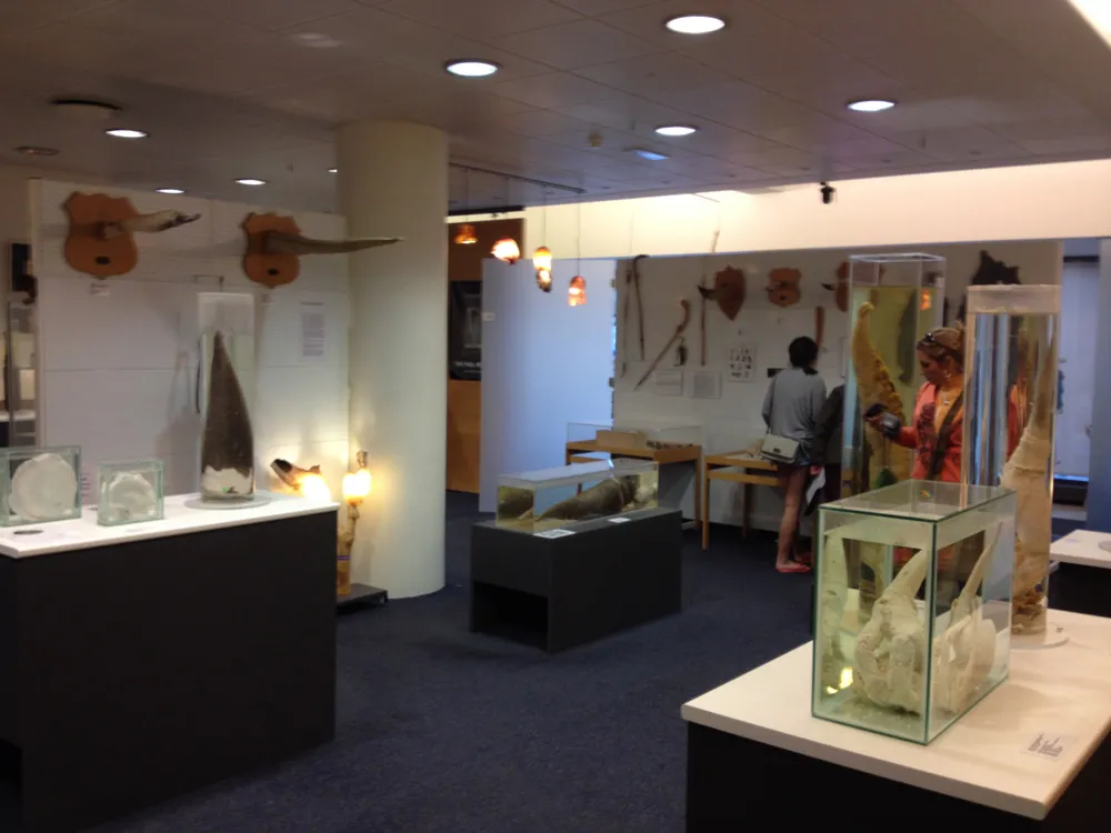 Pmuseum00b.jpg