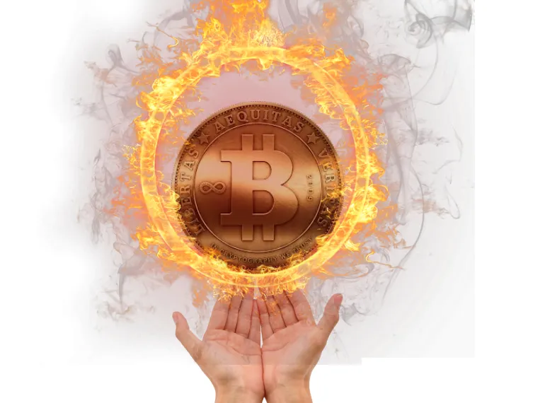 btc burn.png