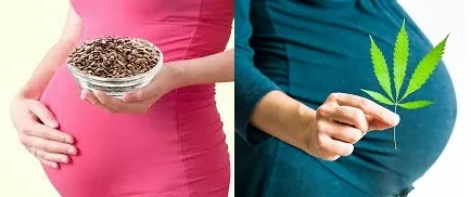 Canna&Flax.jpg