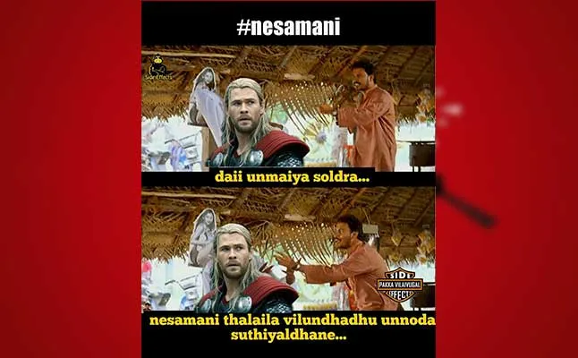 nesamani11.jpg