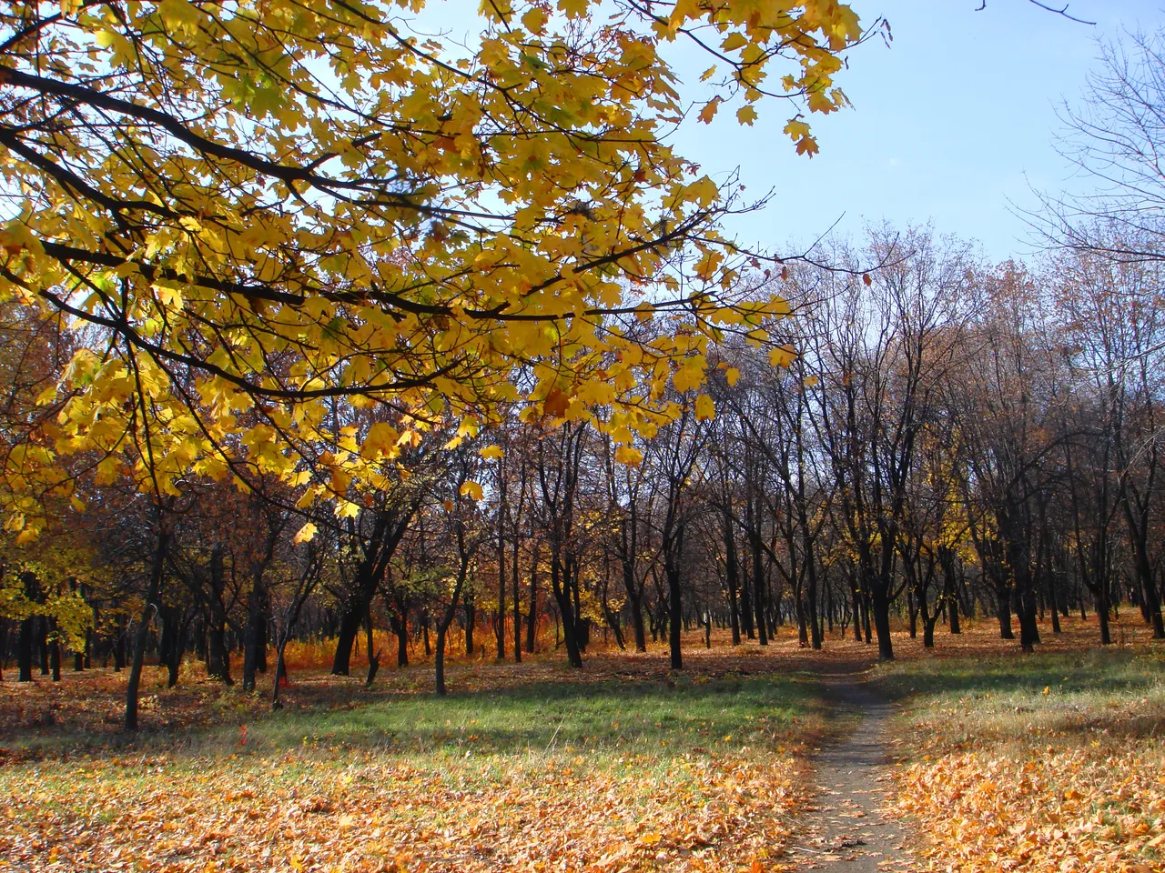 DSC00023-2.jpg