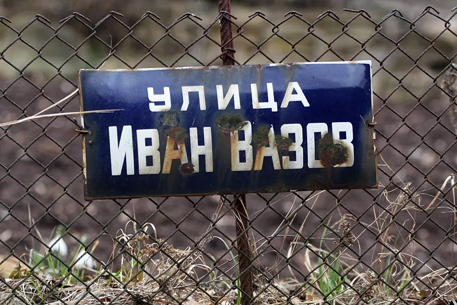 Bov_C_02_s.jpg