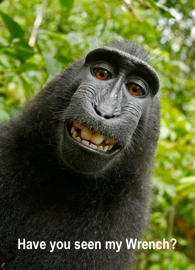 monkeytool.jpg