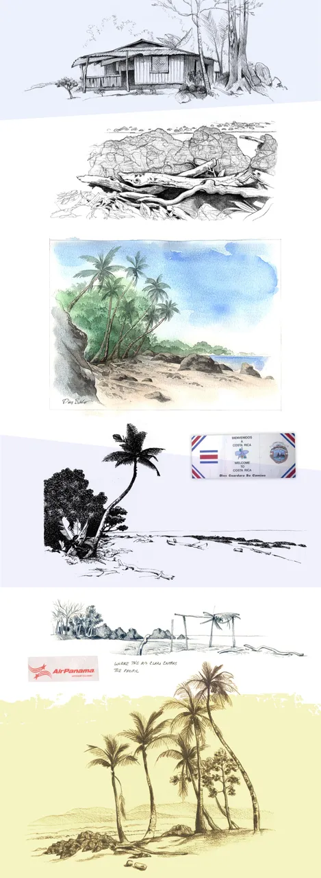 6 panama.jpg