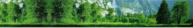 LandForest.jpg