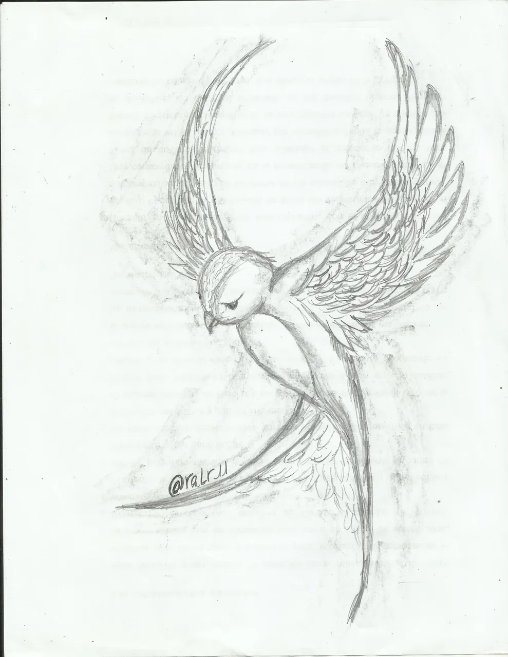 golondrina.jpg
