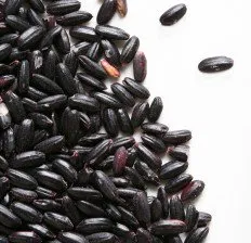 black-rice.jpg