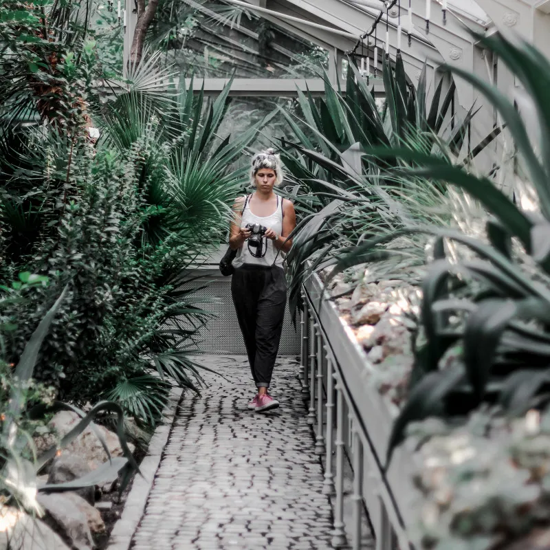 greenhouse.jpg