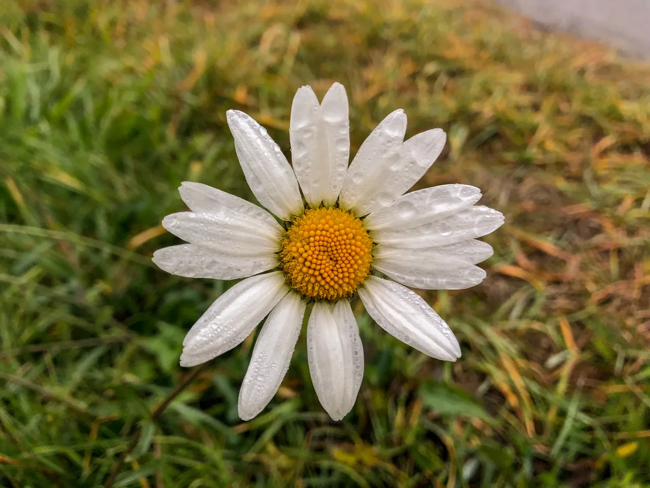 20181028_1.jpg