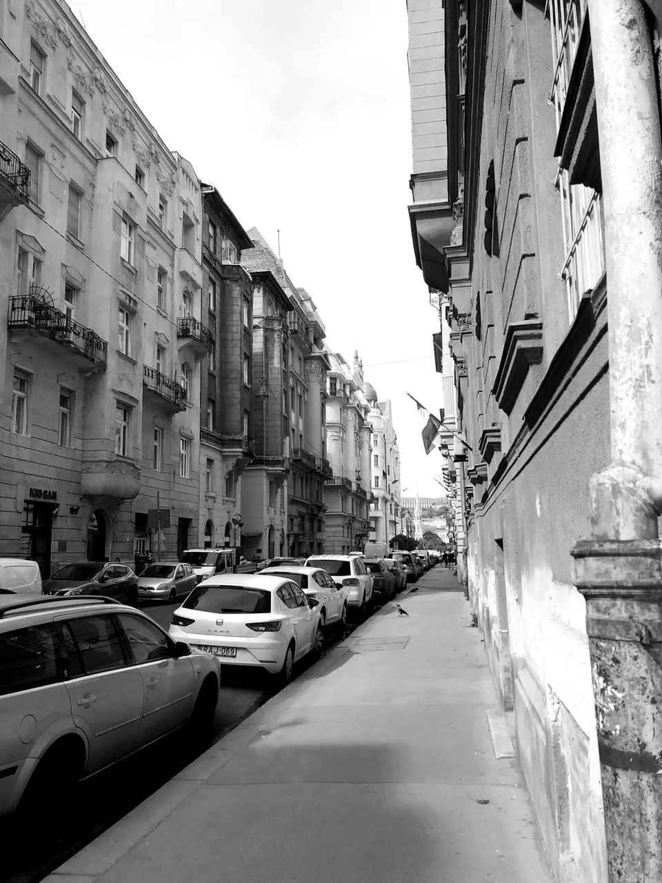 IMG4747BW.JPEG