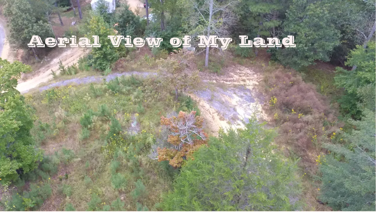 aerialview.JPG