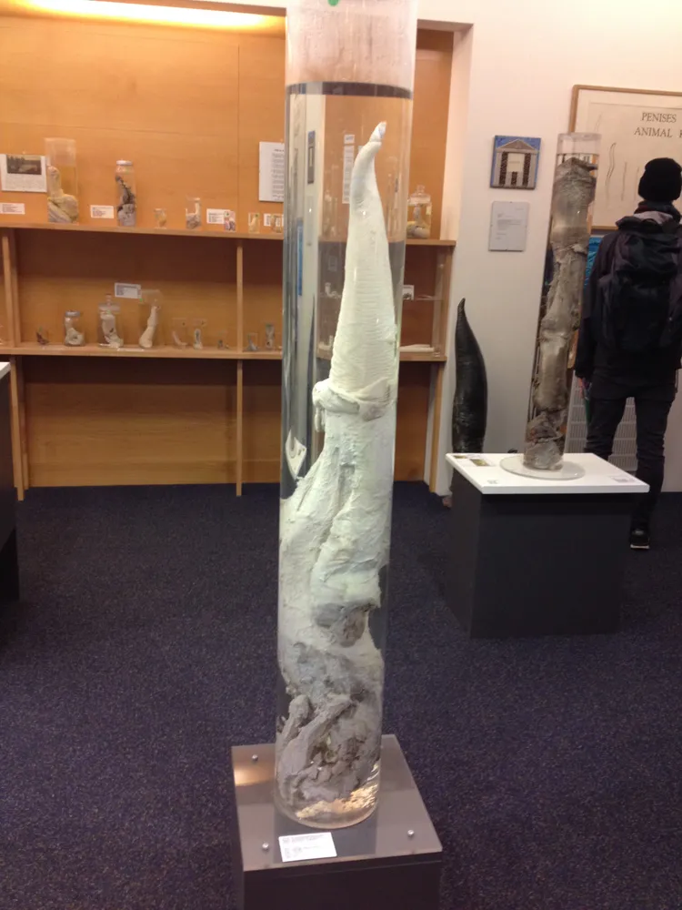 Pmuseum00a.jpg