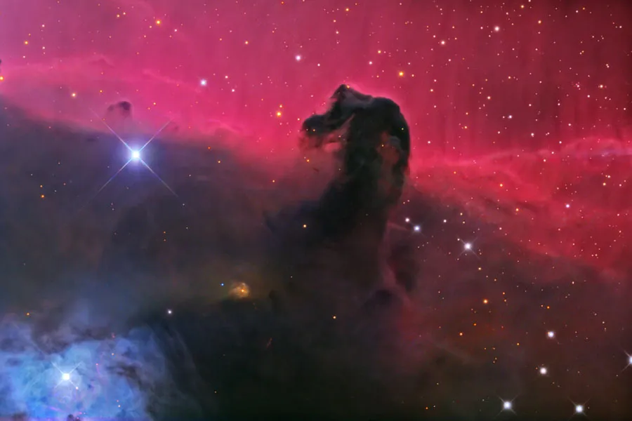 Horsehead1.jpg