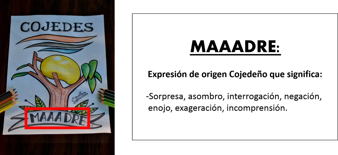 Imagen1arr.png