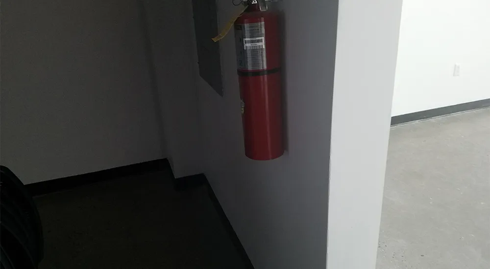 back_room2.jpg
