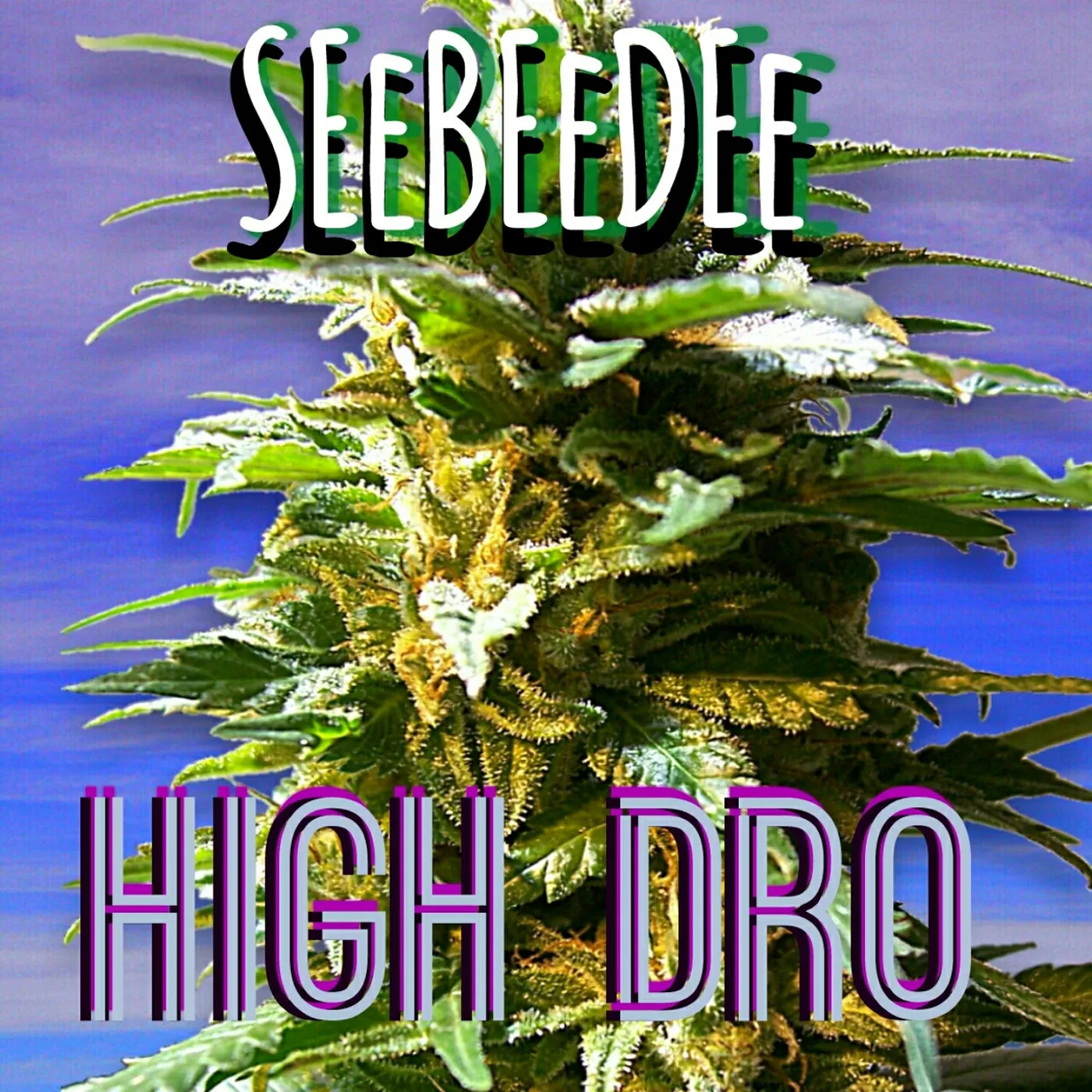 high dro.jpg