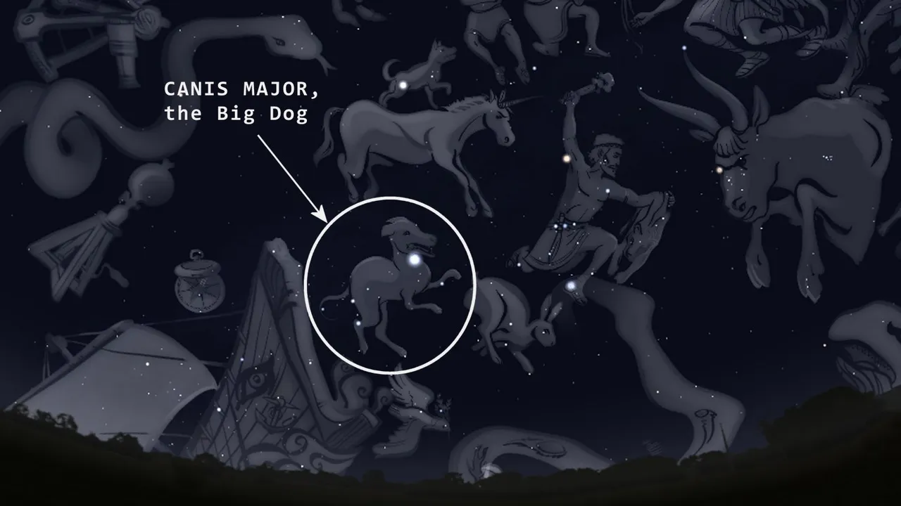 CanisMajor.jpg