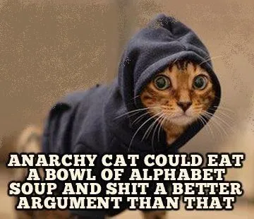 anarchycat.jpg
