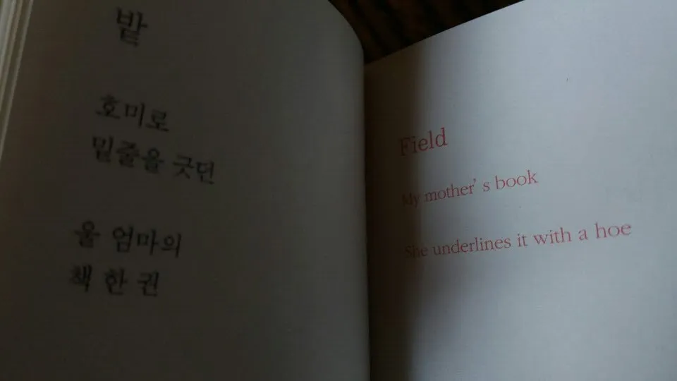 3홑.jpg