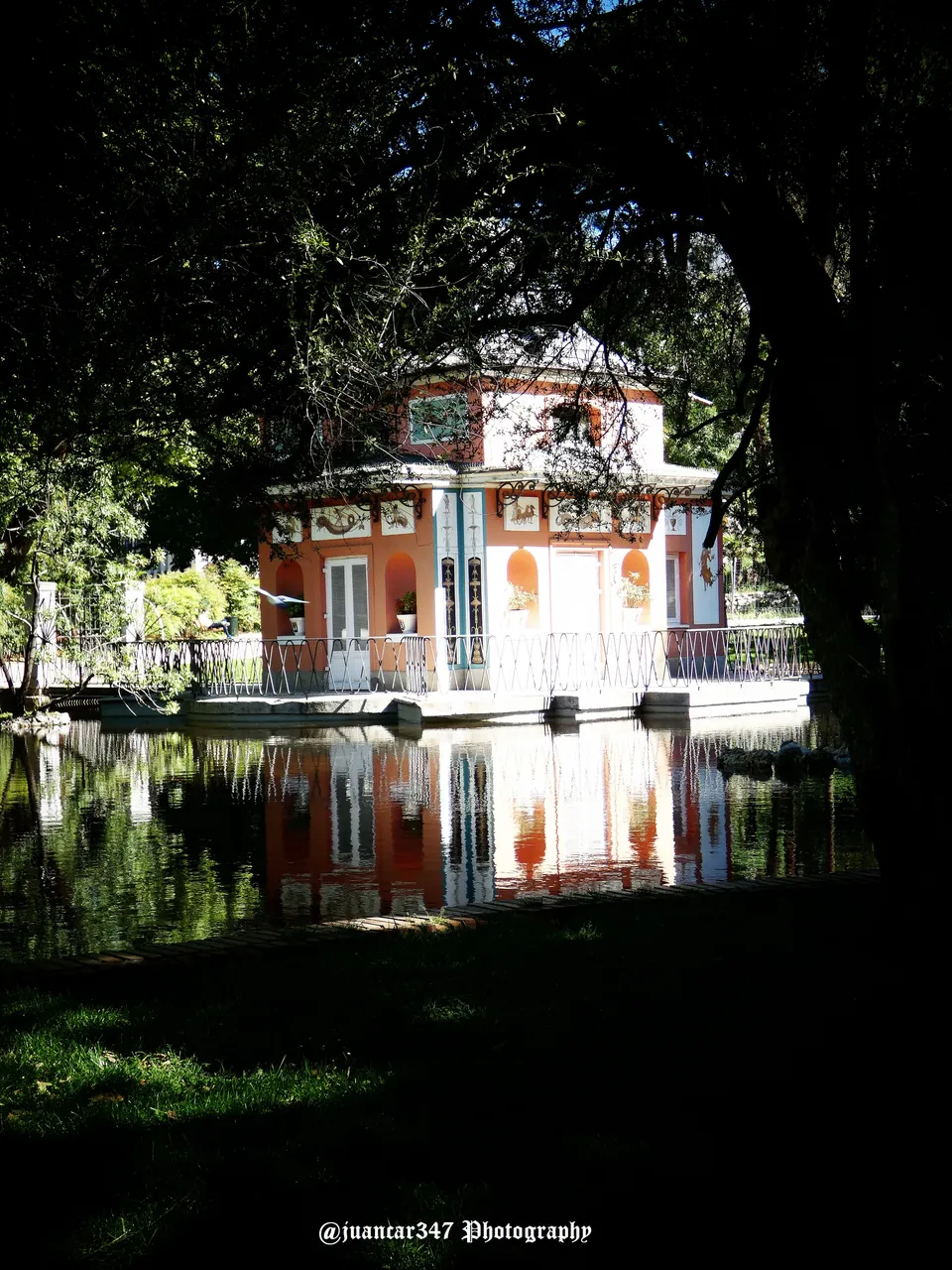 P1150459-5.jpg