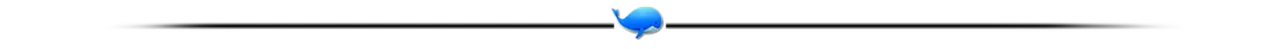 LINE-WHALE.png