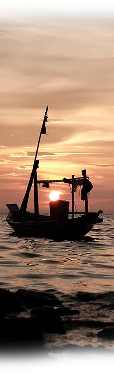 Boat left .png