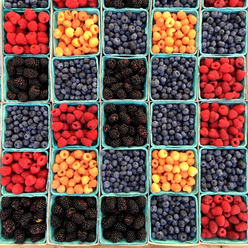 02_berries.jpg