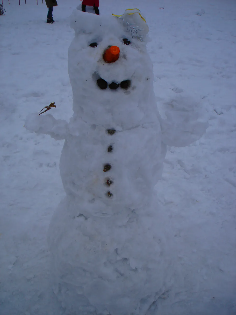 DSC00734-2.jpg