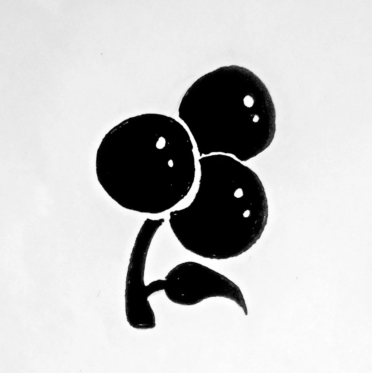 DSC02314d1.jpg