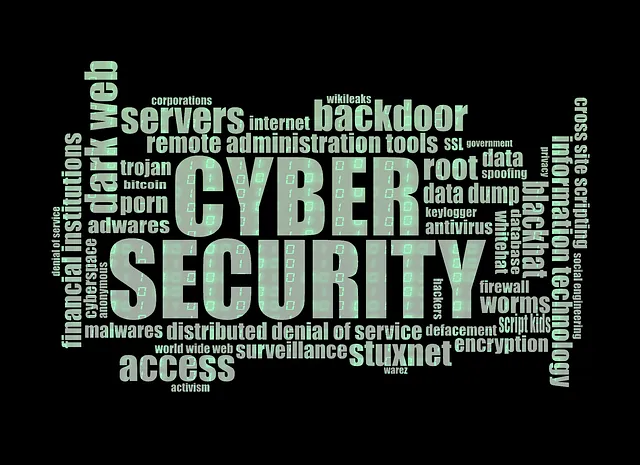 cybersecurity1805632_640.png