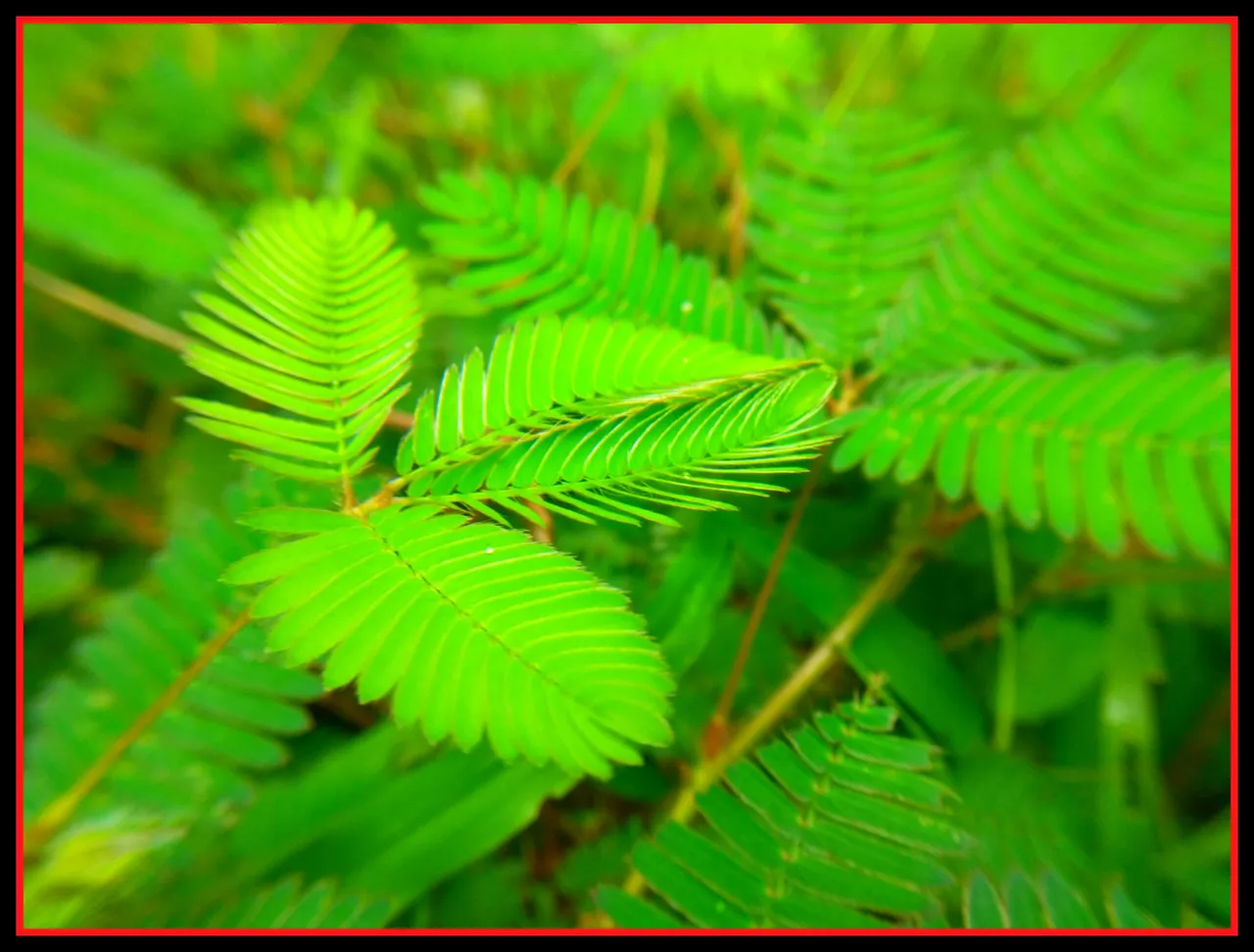 PicsArt_060603.11.59.jpg