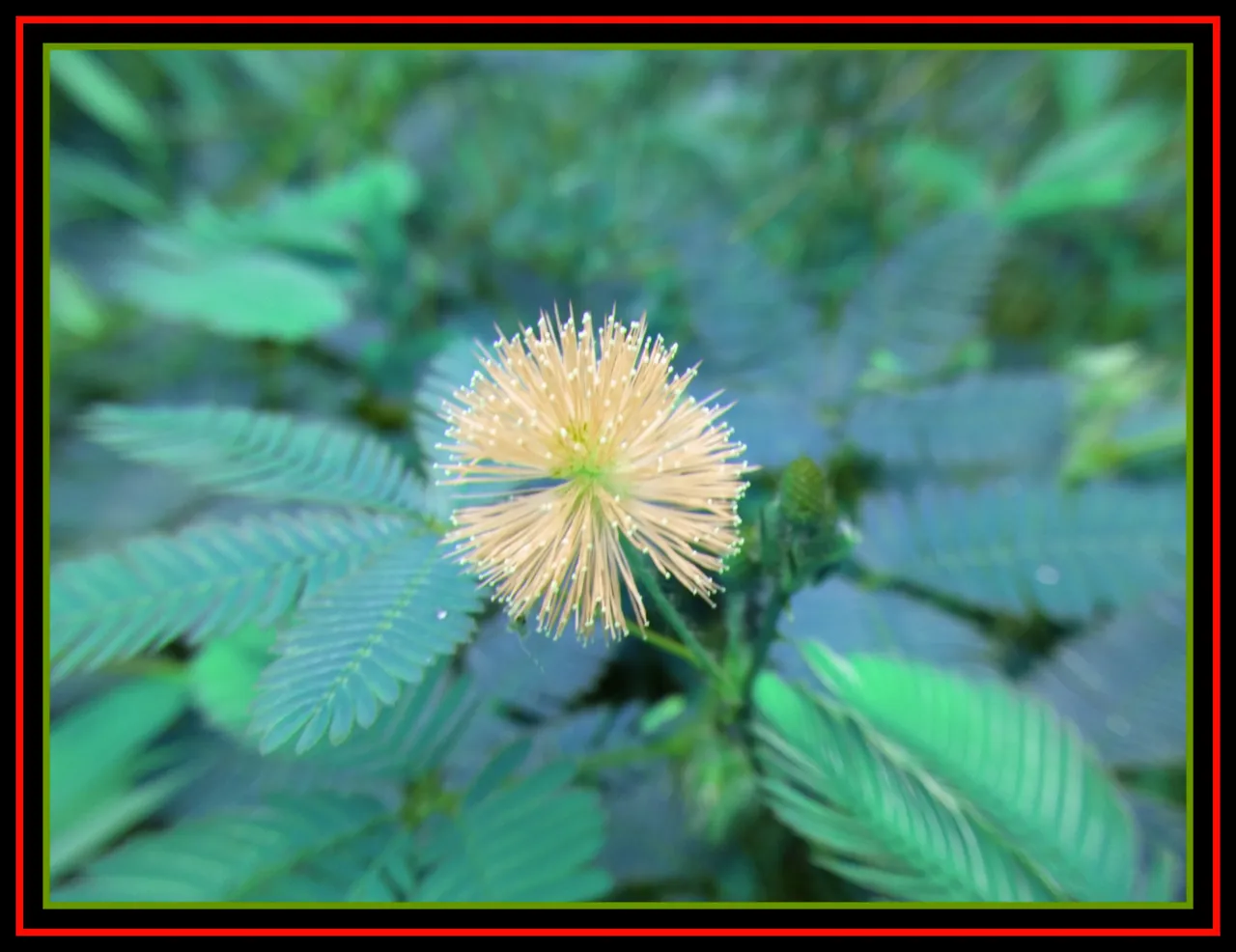 PicsArt_060603.10.46.jpg