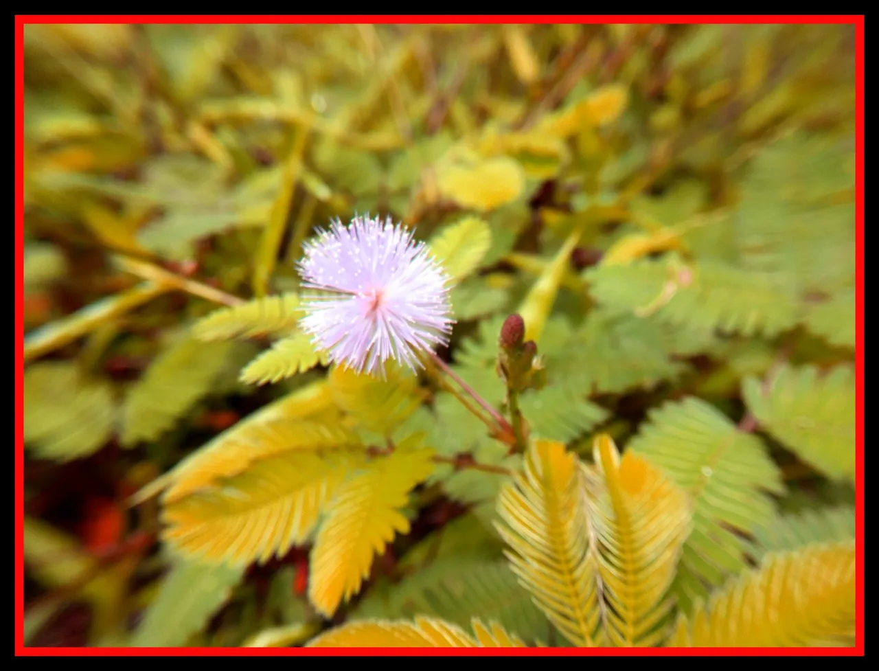 PicsArt_060603.16.55.jpg