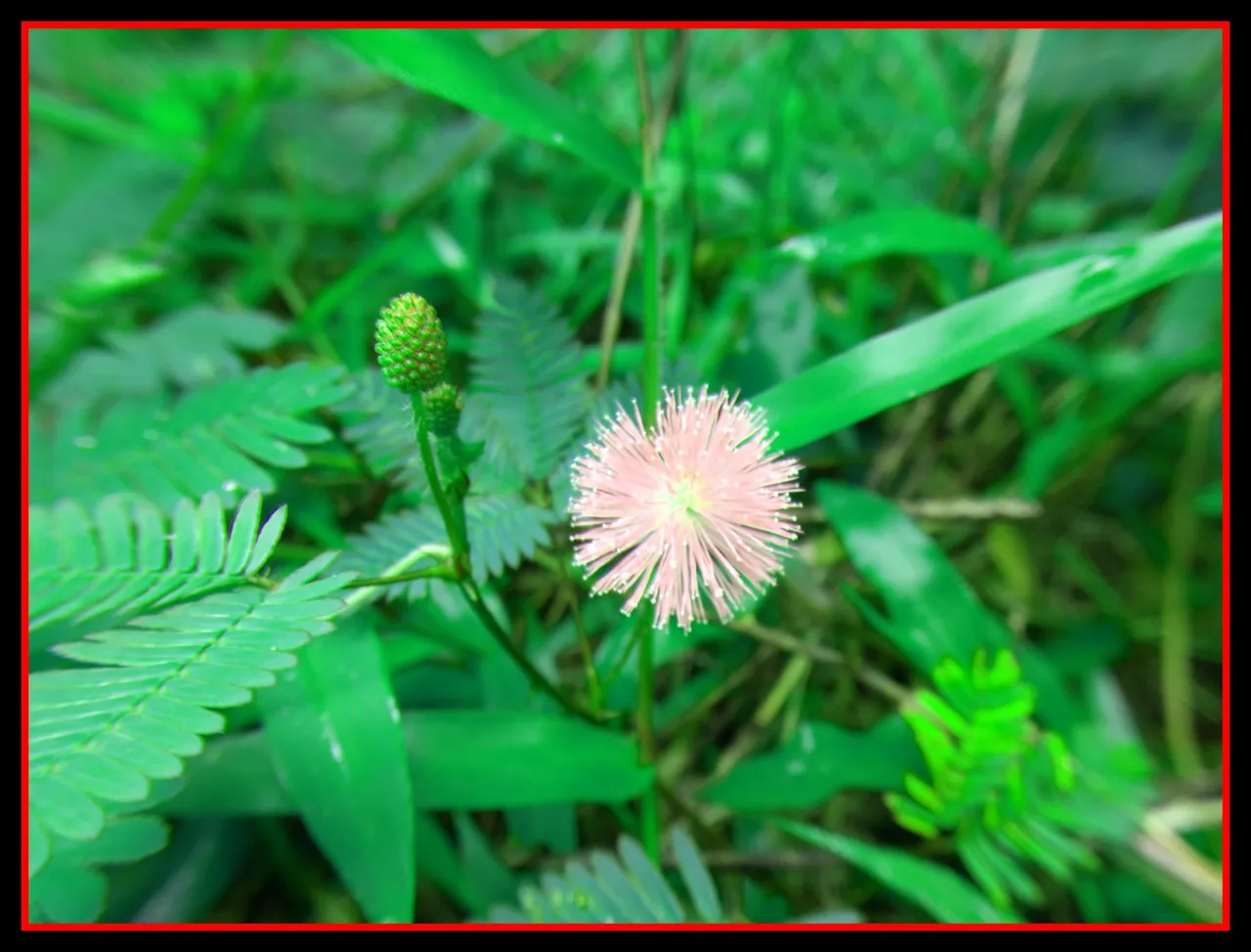 PicsArt_060603.18.01.jpg