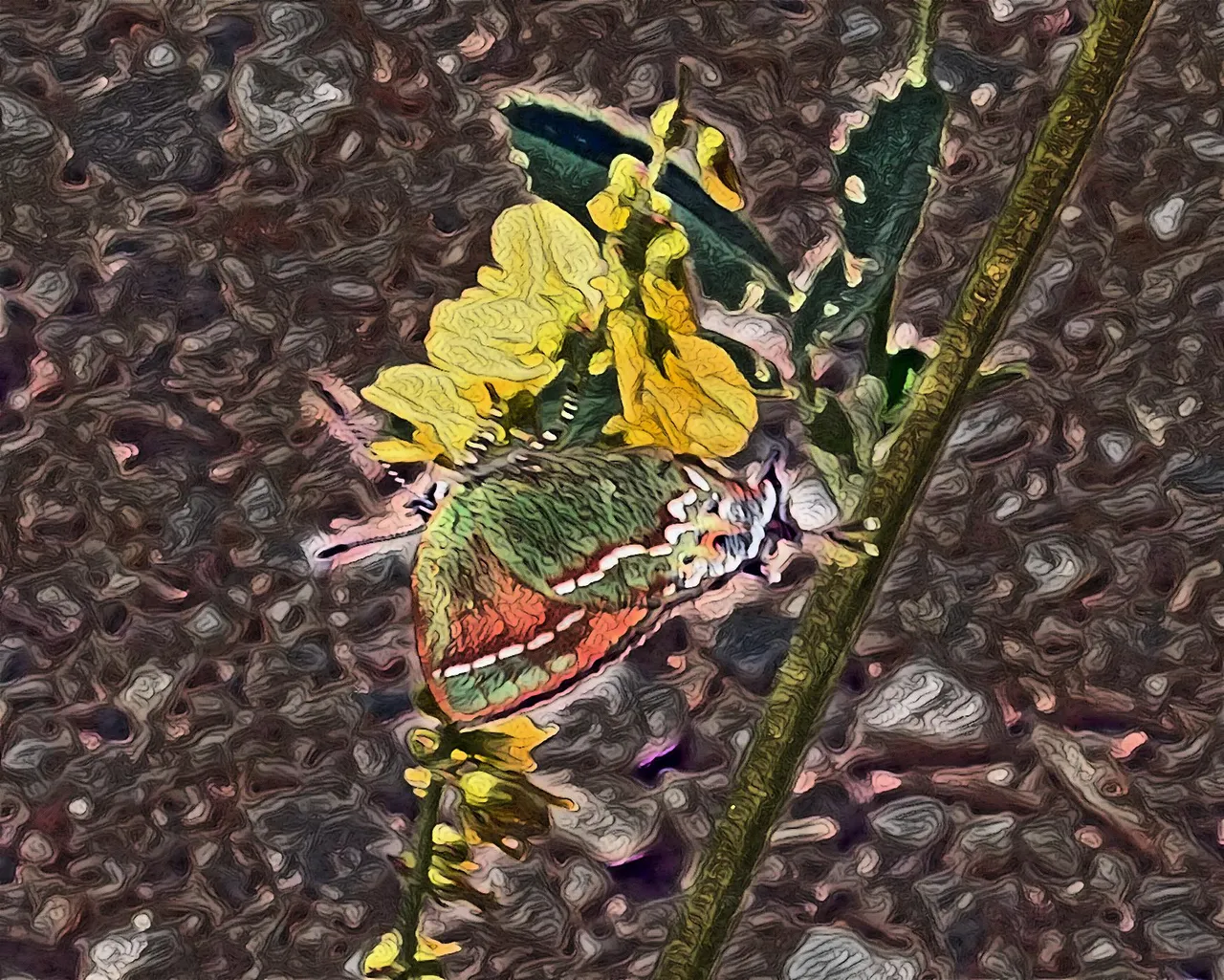 imageedit_40_8340436734.jpg