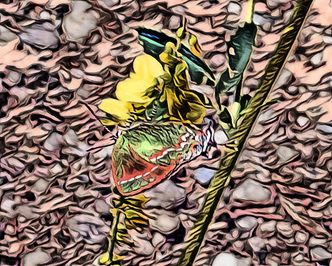 imageedit_23_7243683963.jpg