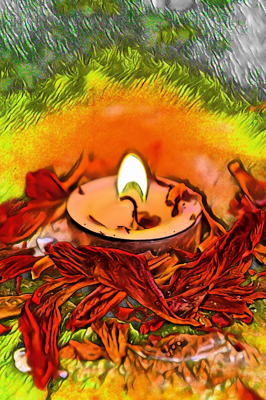 imageedit_70_3188004761.jpg