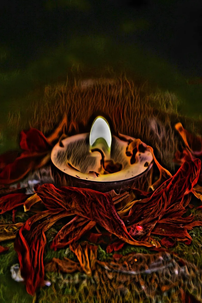 imageedit_74_8255109152.jpg