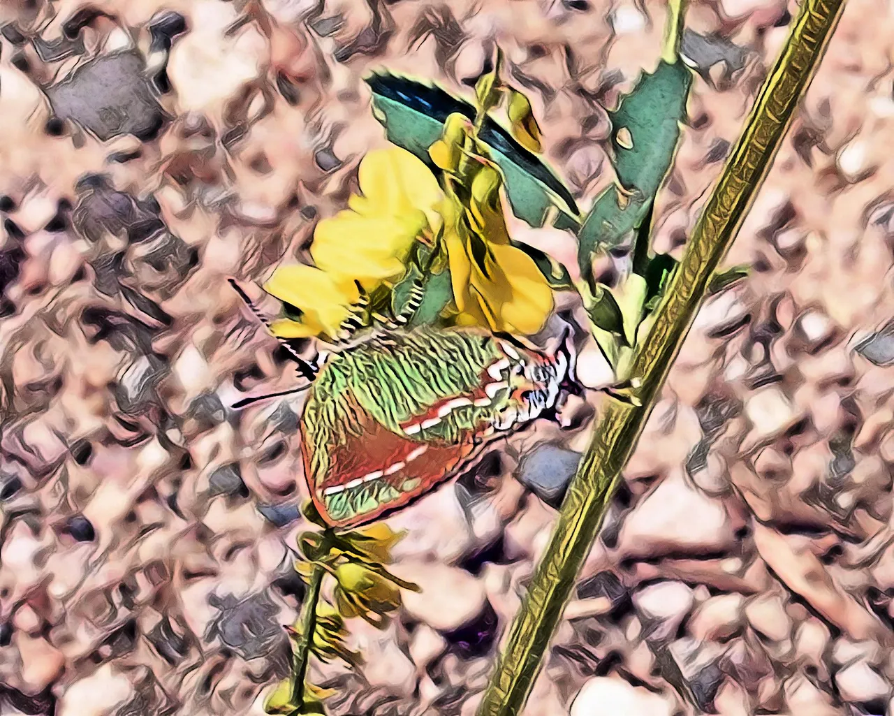 imageedit_22_5227099937.jpg